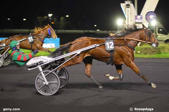 29/11/2024 - Vincennes - Prix Draco : Arrivée