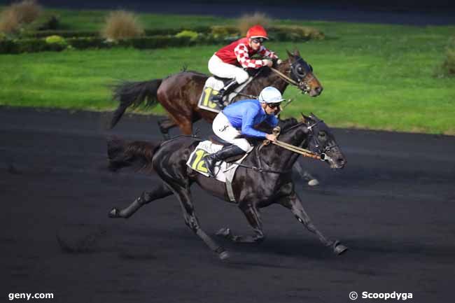 30/11/2024 - Vincennes - Prix Raoul Ballière : Ankunft