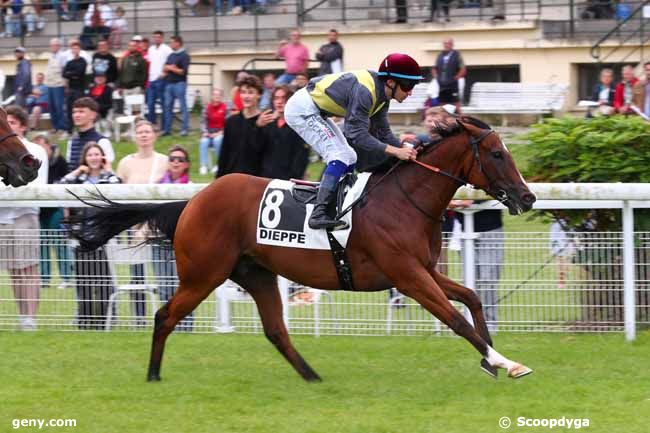 31/07/2025 - Dieppe - Prix Aygo X (Prix de la Forêt d'Arques) : Arrivée