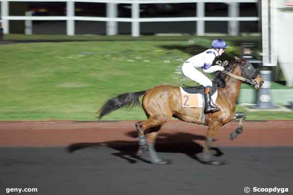 12/01/2008 - Vincennes - Prix de Neuville : Arrivée