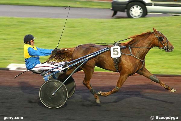 23/05/2008 - Vincennes - Prix Ozo : Arrivée