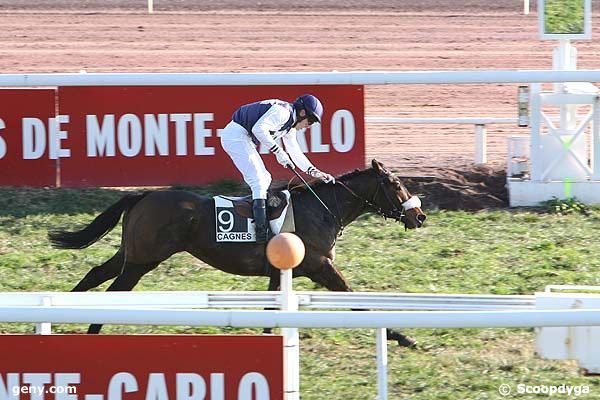 22/12/2008 - Cagnes-sur-Mer - Prix de Birmingham : Arrivée