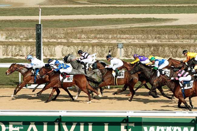 11/03/2010 - Deauville - Prix du Mont Saint-Jean : Arrivée