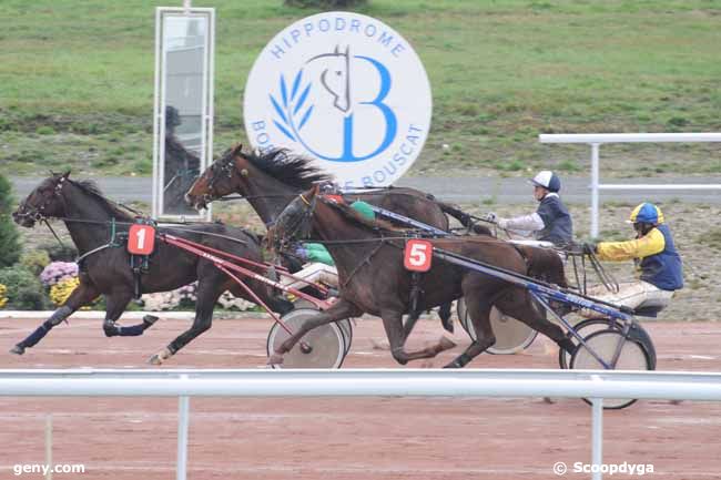 17/11/2010 - Bordeaux-Le Bouscat - Prix d'Agen : Arrivée