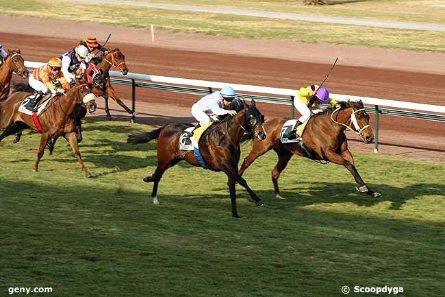 27/02/2012 - Marseille-Borély - Prix de Sainte-Marthe : Arrivée