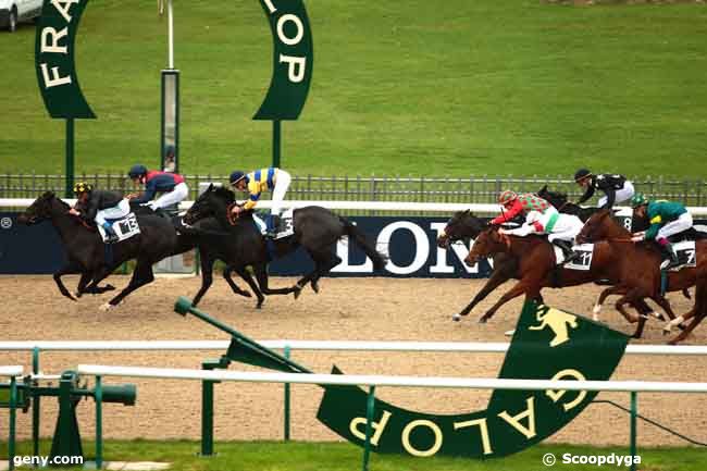 04/11/2013 - Chantilly - Prix de la Petite Pelouse : Ankunft