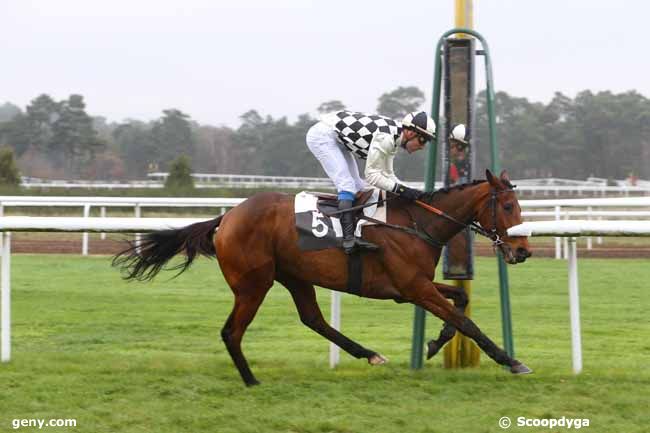 27/11/2015 - Fontainebleau - Prix de la Fontaine aux Biches : Arrivée