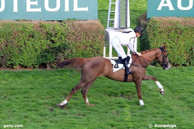 31/05/2017 - Auteuil - Prix James Hennessy : Arrivée