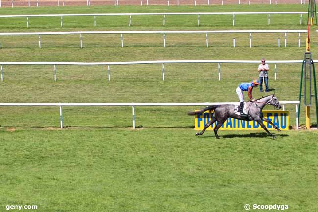 01/06/2017 - Fontainebleau - Prix des Cerfs : Ankunft