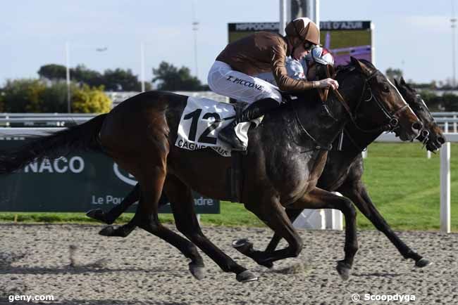 22/01/2018 - Cagnes-sur-Mer - Prix des Citronniers : Arrivée