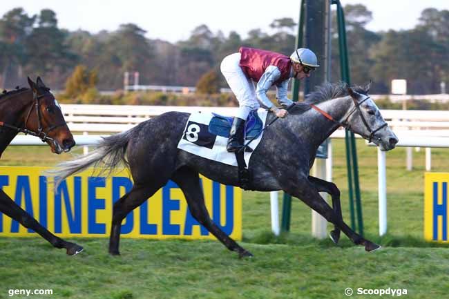 29/03/2019 - Fontainebleau - Prix de Fontaine-le-Port : Arrivée