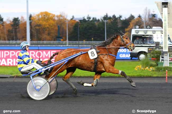 26/11/2019 - Vincennes - Prix Lachesis : Ankunft