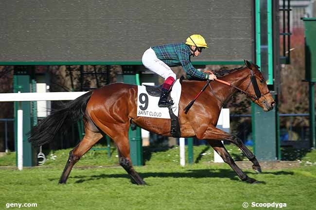 15/03/2020 - Saint-Cloud - Prix Exbury : Arrivée