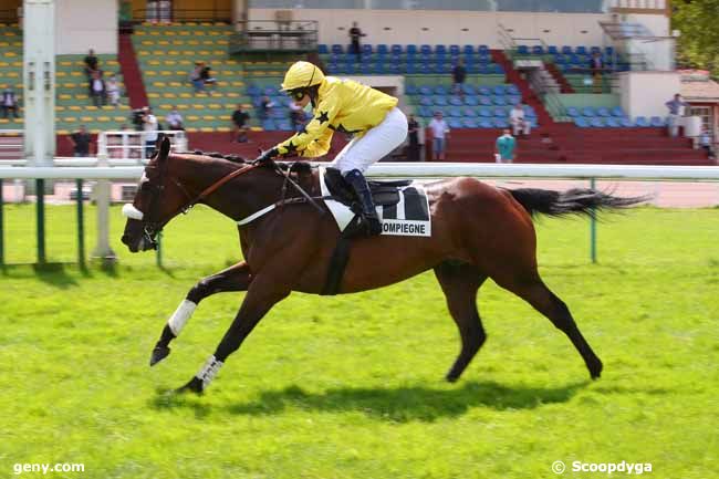 21/06/2021 - Compiègne - Prix Trembleur : Arrivée