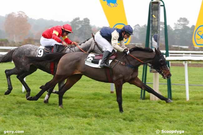 06/12/2022 - Fontainebleau - Prix des Aubépines : Arrivée