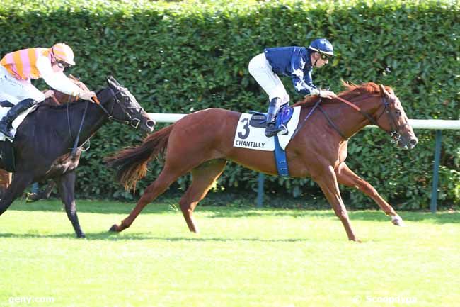 28/09/2023 - Chantilly - Prix des Courtils : Ankunft