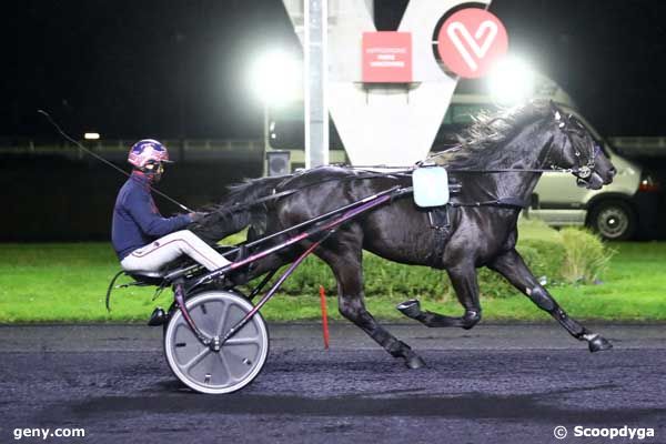 14/11/2023 - Vincennes - Prix Siwa : Arrivée