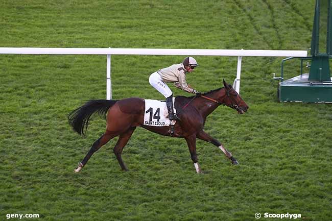 17/11/2023 - Saint-Cloud - Prix des Falaises de Craie : Arrivée