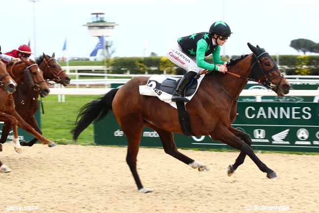 05/02/2024 - Cagnes-sur-Mer - Prix de Sormiou : Arrivée