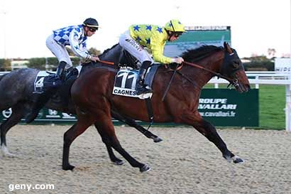 17/02/2024 - Cagnes-sur-Mer - Prix des Collettes-Breguières (Prix du Sud) : Arrivée