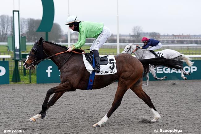 11/01/2025 - Chantilly - Prix du Chemin de Paris : Ankunft