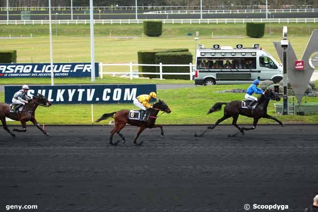 07/01/2014 - Vincennes - Prix de Tresses : Ankunft