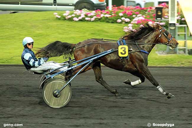 30/05/2014 - Vincennes - Prix Minerva : Arrivée