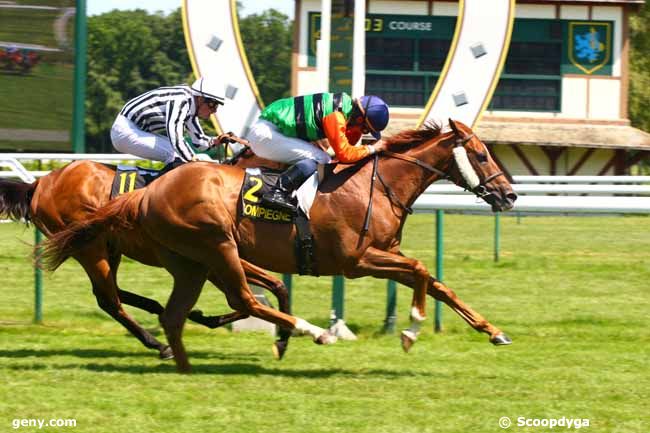 18/06/2014 - Compiègne - Prix des Amateurs : Arrivée