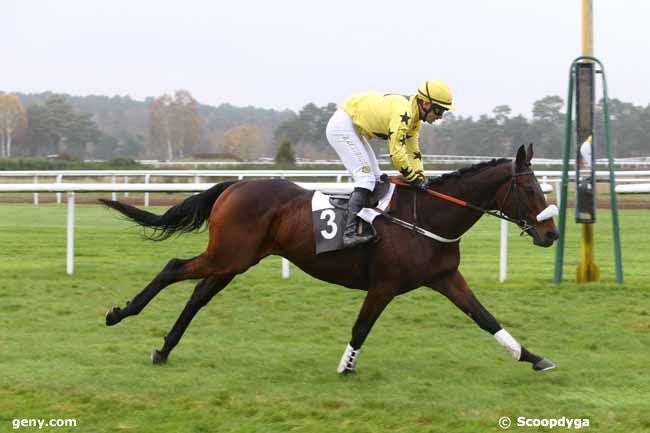 27/11/2015 - Fontainebleau - Grande Course de Haies de Fontainebleau : Arrivée