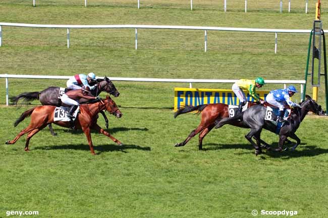 01/06/2017 - Fontainebleau - Prix des Chevreuils : Ankunft