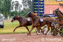 02/06/2025 - Vichy - Prix de Grosbois : Arrivée