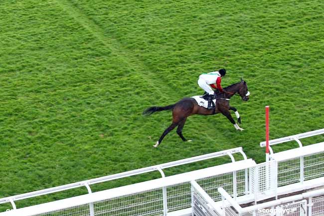 27/04/2019 - Auteuil - Prix Go Ahead : Arrivée