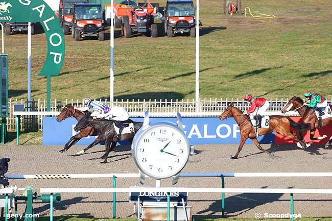 18/12/2021 - Chantilly - Prix du Bois de la Coharde : Arrivée