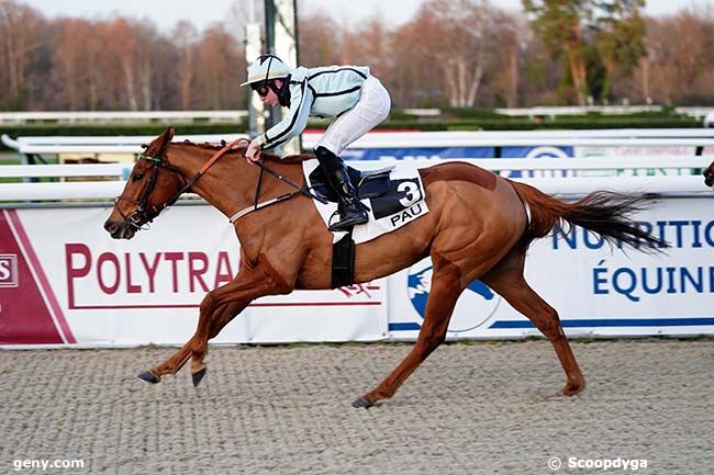 03/01/2022 - Pau - Prix d'Ogeu-les-Bains : Arrivée