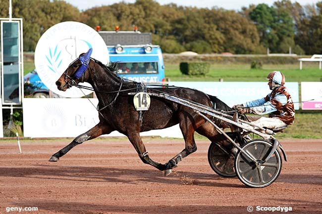 14/11/2022 - Bordeaux-Le Bouscat - Prix Paradis Beachcomber : Arrivée