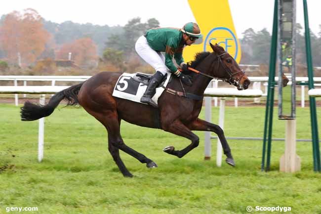 06/12/2022 - Fontainebleau - Prix de la Mare aux Cerfs : Arrivée