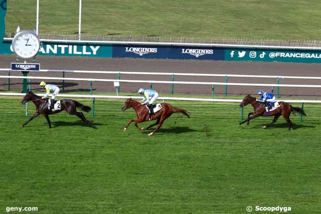 28/09/2023 - Chantilly - Prix des Terriers du Houx : Ankunft