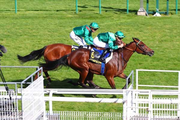 06/10/2023 - Compiègne - Prix des Naïades : Arrivée