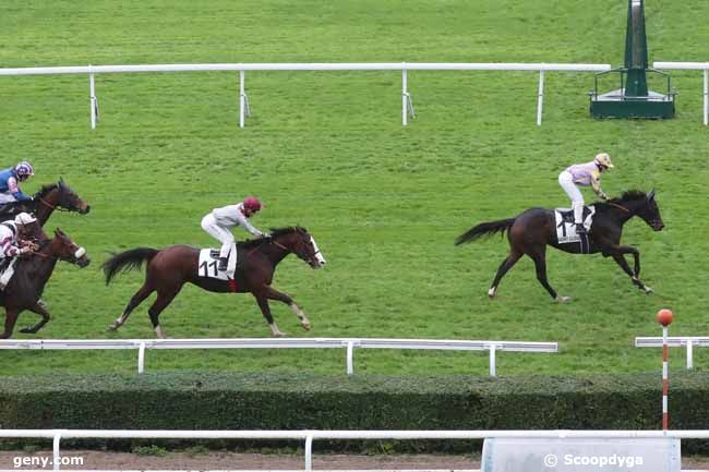 10/11/2023 - Saint-Cloud - Prix du Haras d'Ouilly : Arrivée