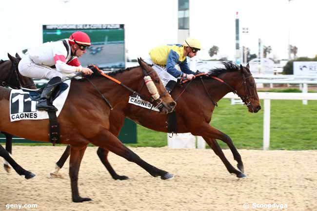 05/02/2024 - Cagnes-sur-Mer - Prix de Morgiou : Arrivée