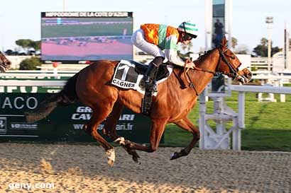 17/02/2024 - Cagnes-sur-Mer - Prix du Val Fleuri et des Vespins (Prix du Vaucluse) : Arrivée