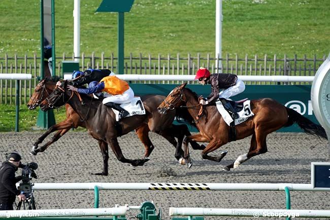 14/03/2024 - Chantilly - Prix de la Pistole : Arrivée