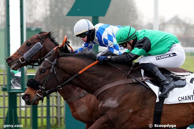 11/01/2025 - Chantilly - Prix du Chemin Royal : Arrivée