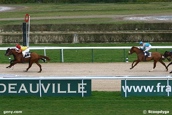 28/02/2008 - Deauville - Prix d'Hermonville : Arrivée