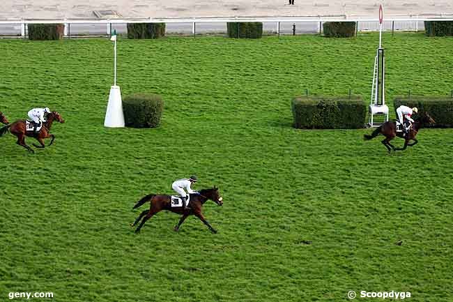 13/11/2008 - Auteuil - Prix Thuya : Result