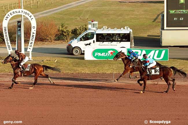 10/03/2010 - Amiens - Prix Espace Courses le Guynemer Amiens : Arrivée