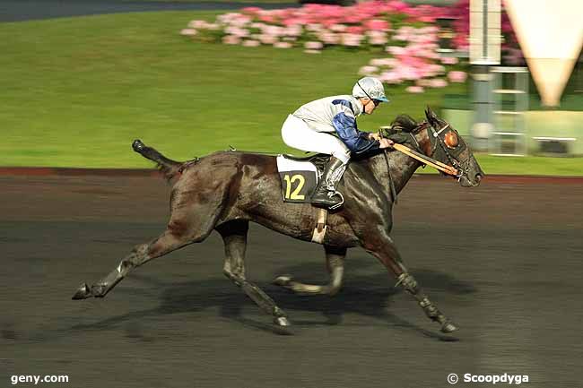 01/06/2010 - Vincennes - Prix Budrosa : Arrivée