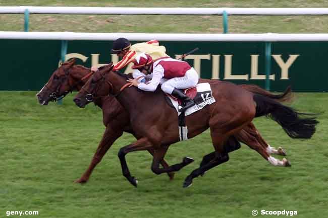 16/07/2010 - Chantilly - Prix de la Croix des Ormeaux : Arrivée