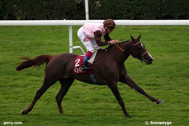 01/10/2010 - Saint-Cloud - Prix Qatar French Arabian Breeders' Challenge : Arrivée