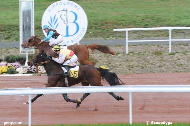 17/11/2010 - Bordeaux-Le Bouscat - Prix de Lyon-Parilly : Result